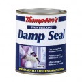 Thompsons damp seal 250ml
