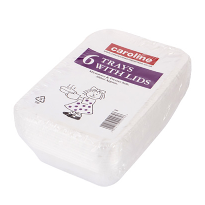 Caroline micro containers and lids 500cc pack of 6