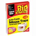 STV big cheese live catch mouse traps pack of 2