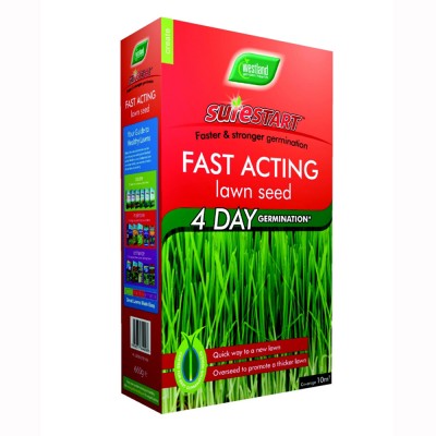 Westland fast acting lawn seed 30m2